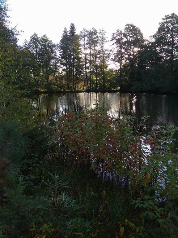 Apartmany Pod Lesem Bohutin  Bagian luar foto